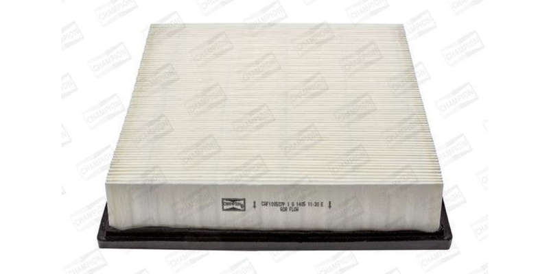 Caf100507P Air Filter Ag821