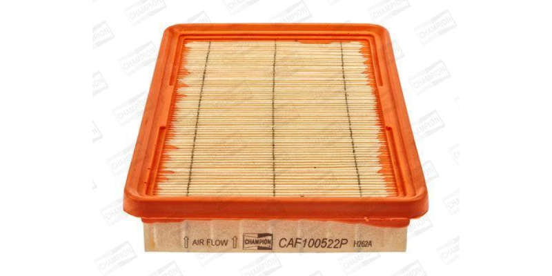 Caf100522P Air Filter Ag902