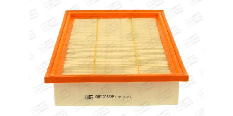 Caf100583P Air Filter Ag837