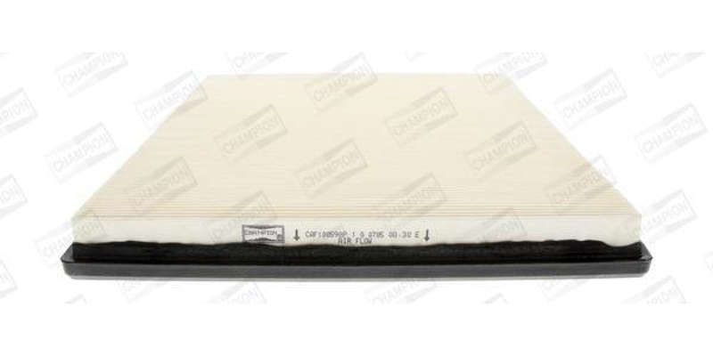 Caf100598P Air Filter Ag845