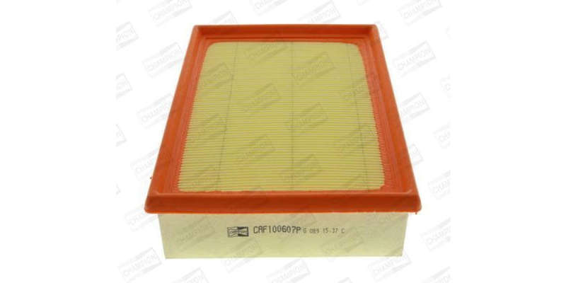 Caf100607P Air Filter Ag835