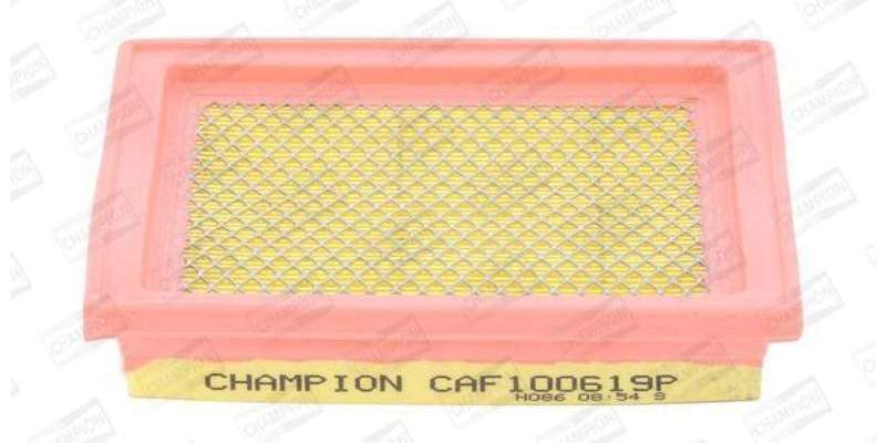 Caf100619P Air Filter Ag1207