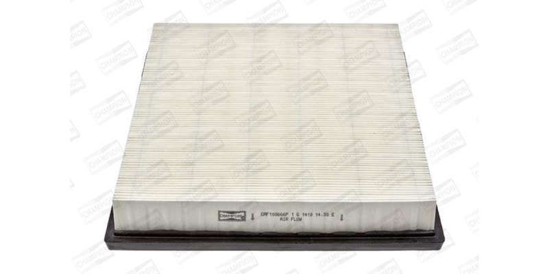 Caf100666P Air Filter Ag970