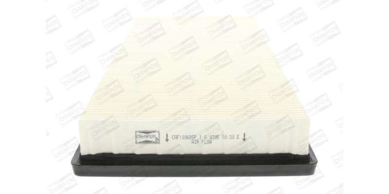 Caf100685P Air Filter Ag1154