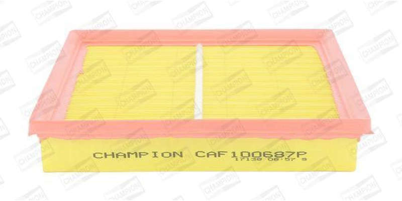 Caf100687P Air Filter Ag930