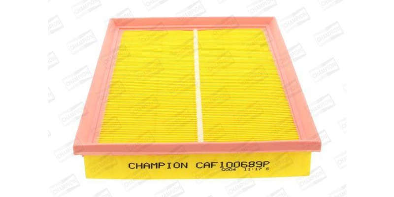 Caf100689P Air Filter Ag949
