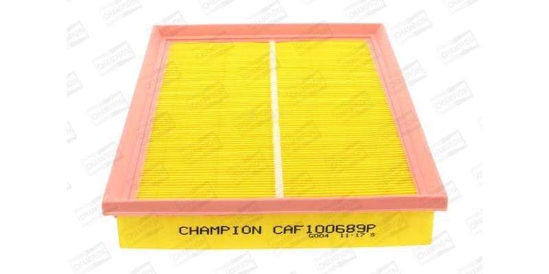 Caf100689P Air Filter Ag949