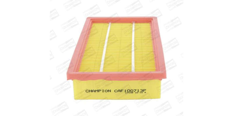 Caf100713P Air Filters