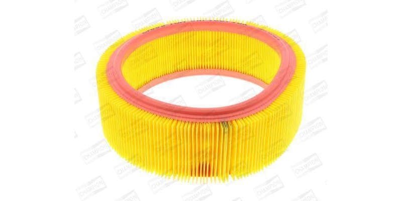 Caf100716R Air Filter Ag1112