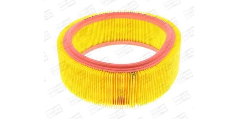 Caf100716R Air Filter Ag1112