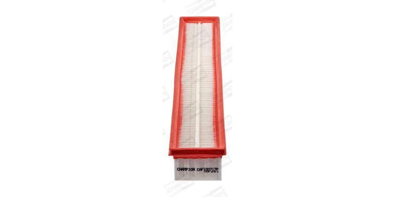Caf100717P Air Filter Ag1042