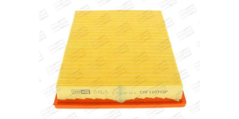 Caf100718P Air Filter Ag999