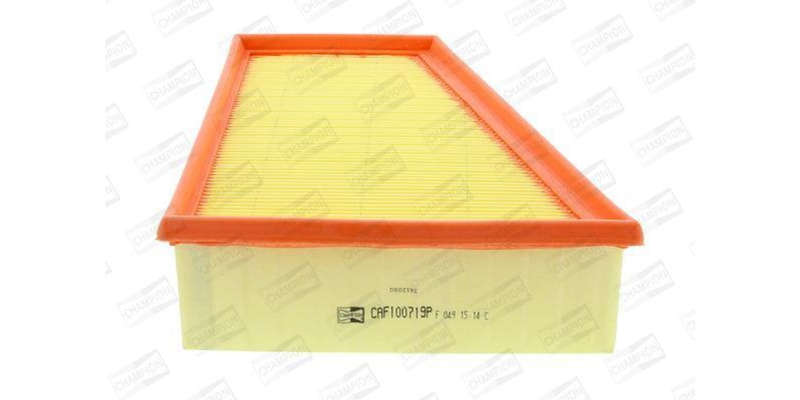Caf100719P Air Filter Ag1049