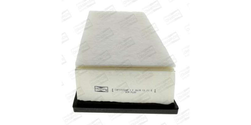 Caf100724P Air Filter Ag985