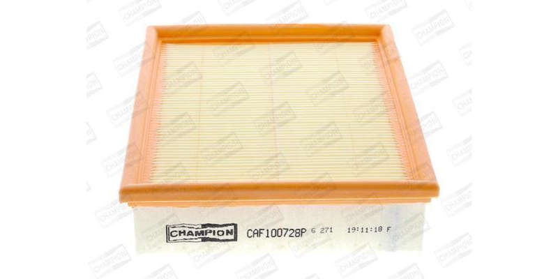 Caf100728P Air Filter Ag1205