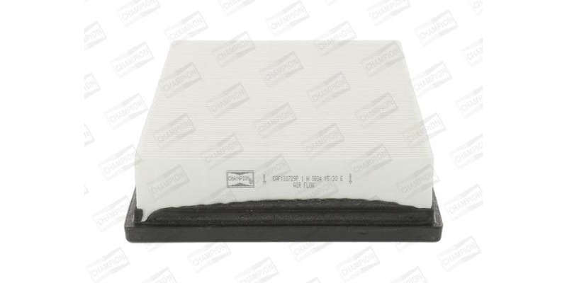 Caf100729P Air Filter Ag1142