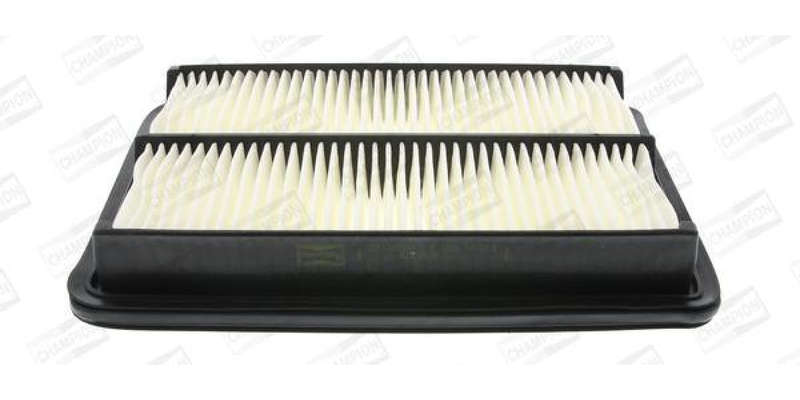 Caf100731P Air Filter Ag873
