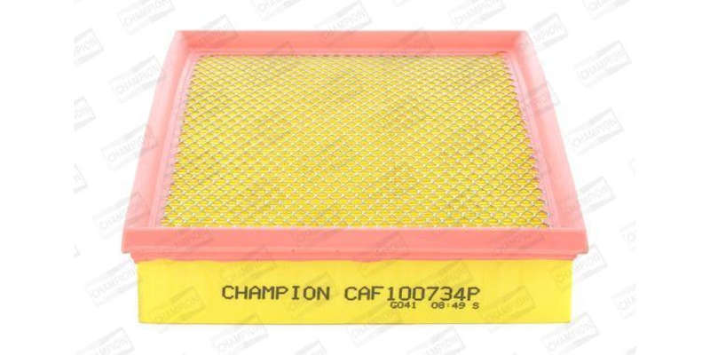 Caf100734P Air Filter Ag1099