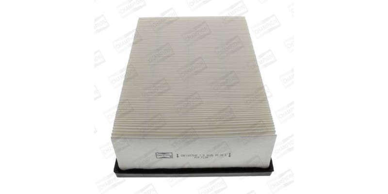 Caf100754P Air Filter Ag1141