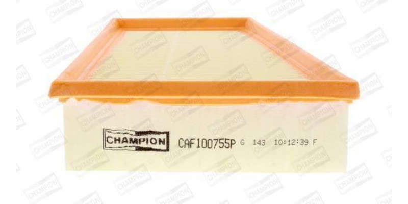 Caf100755P Air Filter Ag1152
