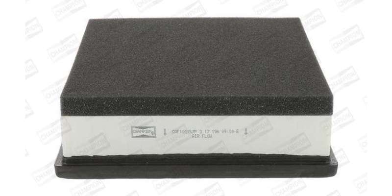 Caf100767P Air Filter Ag1213