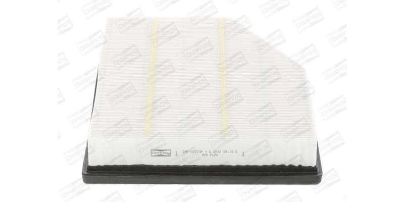 Caf100773P Air Filter Ag1376
