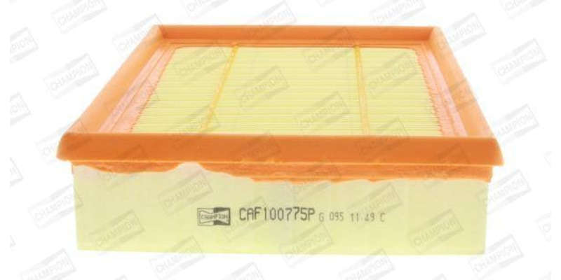 Caf100775P Air Filter Ag1348