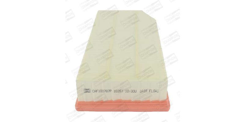 Caf100787P Air Filter Ag1039