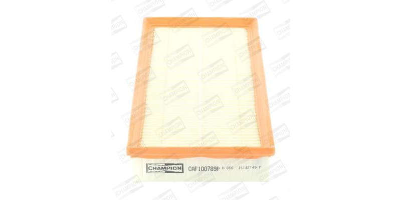 Caf100789P Air Filter Ag1347