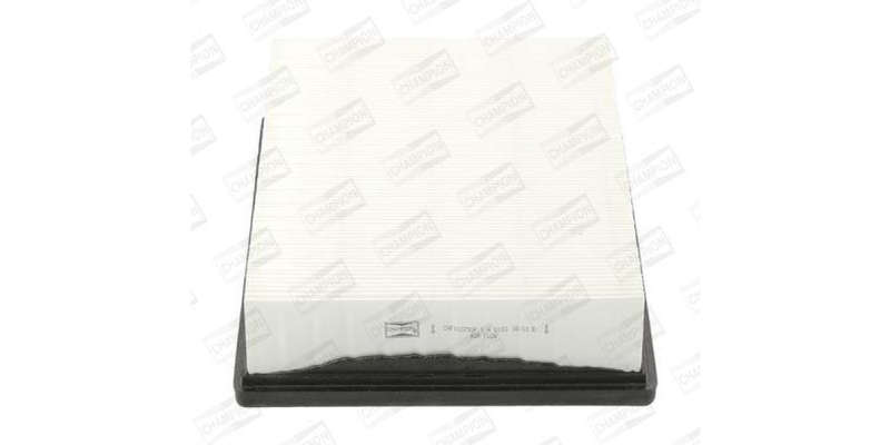 Caf100793P Air Filter Ag1351