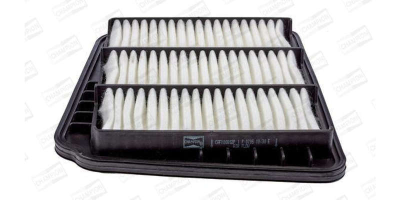 Caf100802P Air Filter Ag1198