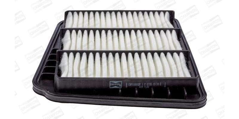 Caf100802P Air Filter Ag1198