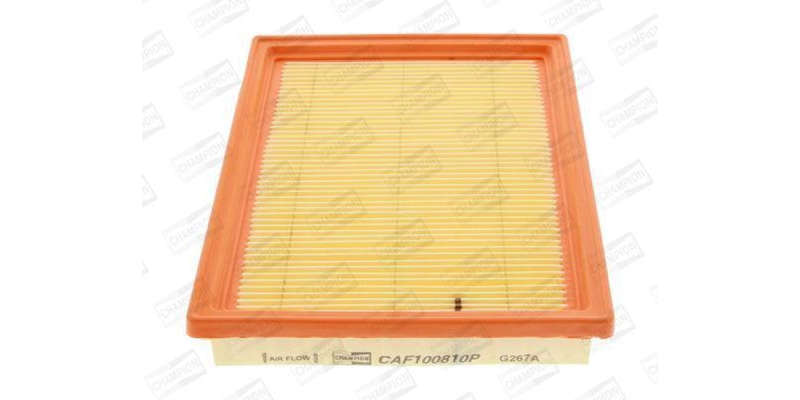 Caf100810P Air Filter Ag1203