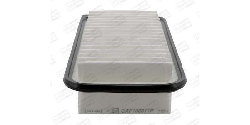 Caf100811P Air Filter Ag1519