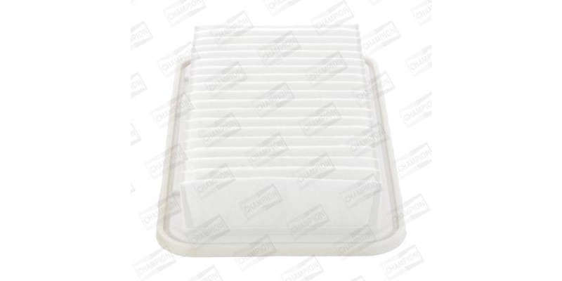 Caf100813P Air Filter Ag1098