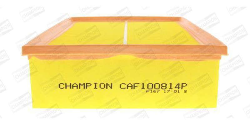 Caf100814P Air Filter Ag1031