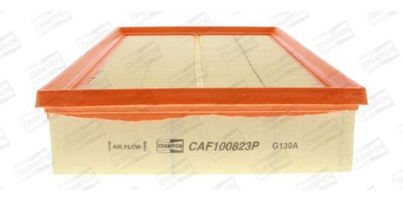 Caf100823P Air Filter Ag1034