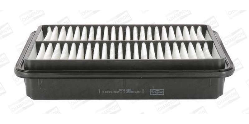 Caf100825P Air Filter Ag1116