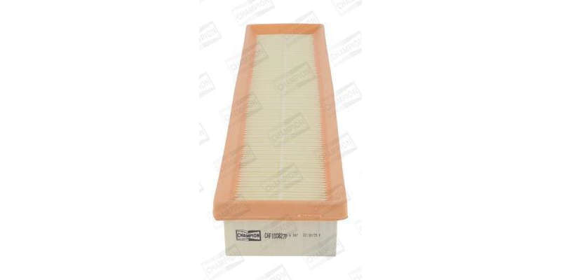Caf100827P Air Filter Ag1536