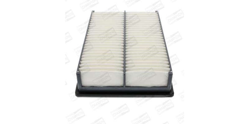 Caf100831P Air Filter Ag1209