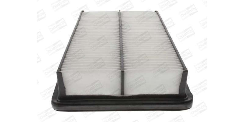 Caf100833P Air Filter Ag1051