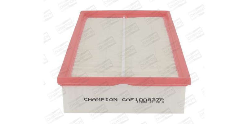 Caf100837P Air Filter Ag1355