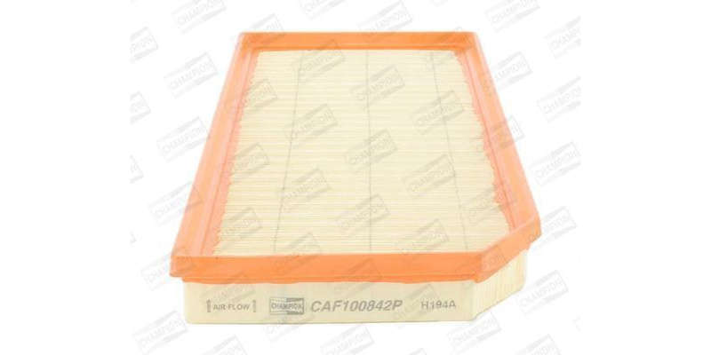 Caf100842P Air Filter Ag1360
