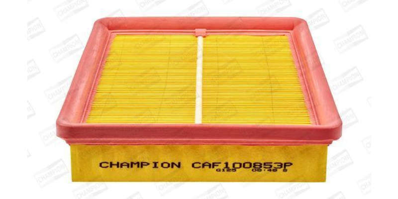Caf100853P Air Filter Ag1341