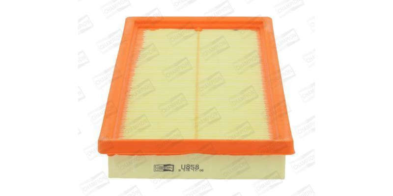 Caf100858P Air Filter Ag1481