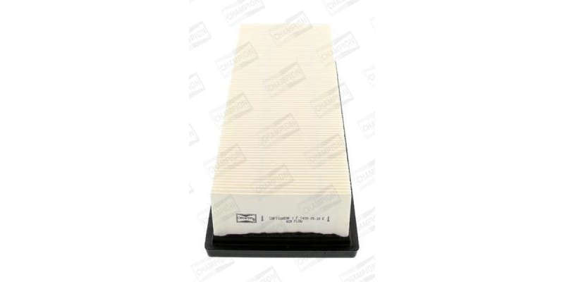 Caf100859P Air Filter Ag1224