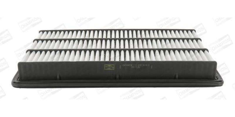 Caf100870P Air Filter Ag1138