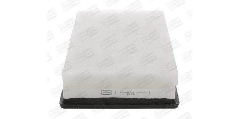Caf100884P Air Filter Ag996