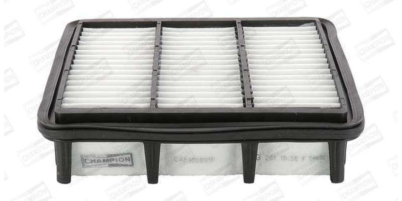Caf100891P Air Filter Ag1382