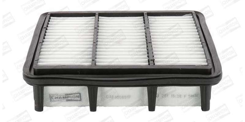 Caf100891P Air Filter Ag1382